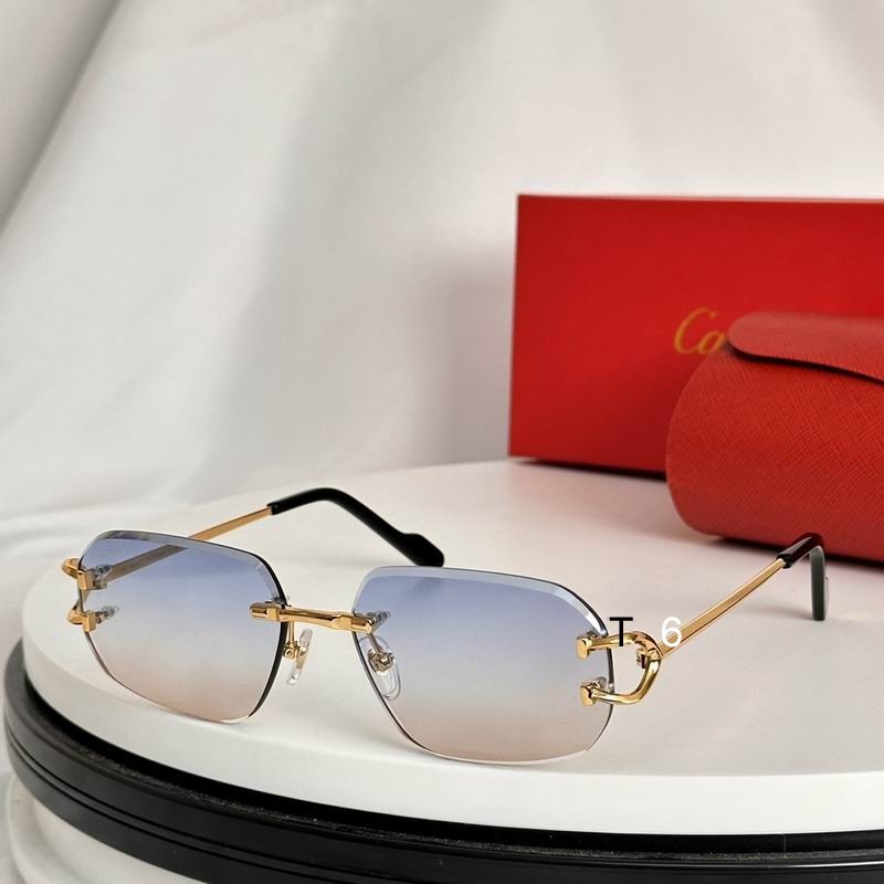 Cartier Sunglasses 503